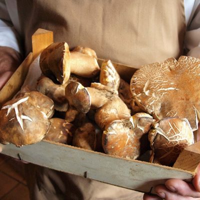 Boletus silvestre del Valle del Genal